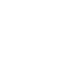 Client First Approach